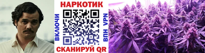 Как найти наркотики Малоярославец Каннабис  Псилоцибиновые грибы  ГАШ 
