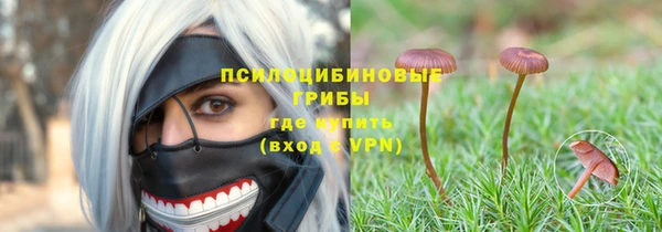 прущая мука Арсеньев