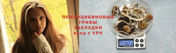 прущая мука Арсеньев