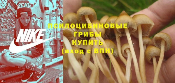 соль ск Аркадак