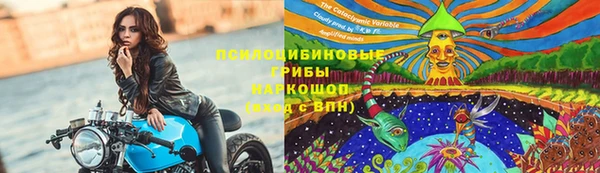 прущая мука Арсеньев